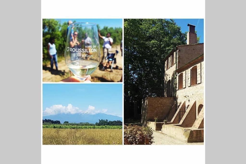 Gite De Charme Du Domaine Pagnon Guillemette Torreilles Kültér fotó