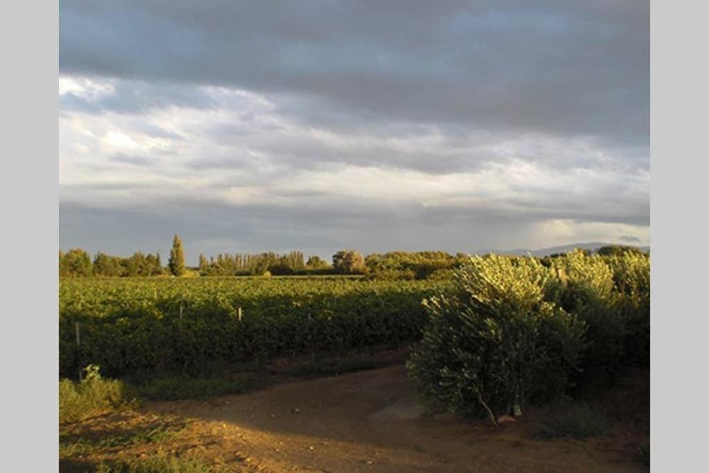 Gite De Charme Du Domaine Pagnon Guillemette Torreilles Kültér fotó