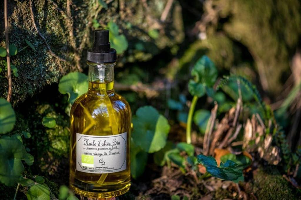 Gite De Charme Du Domaine Pagnon Guillemette Torreilles Kültér fotó
